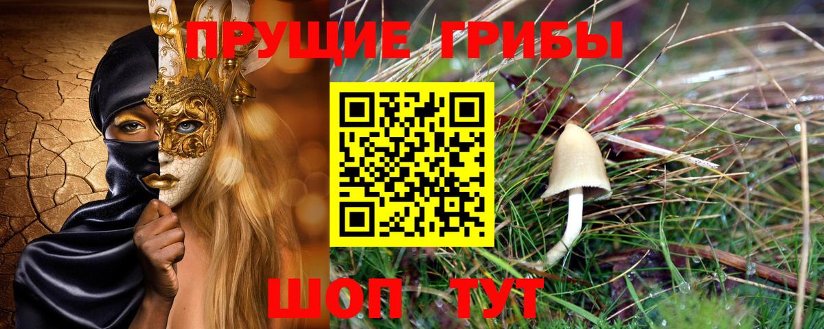 Орёл  купить наркотики цена  Вход с VPN  Псилоцибиновые грибы GOLDEN TEACHER 