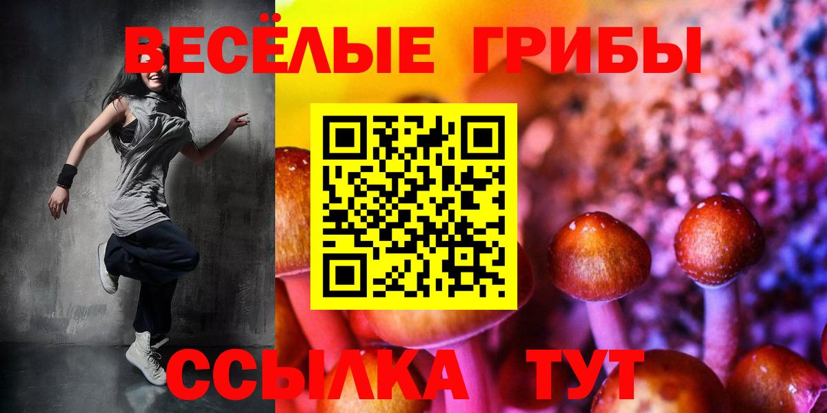 Псилоцибиновые грибы ЛСД Орёл